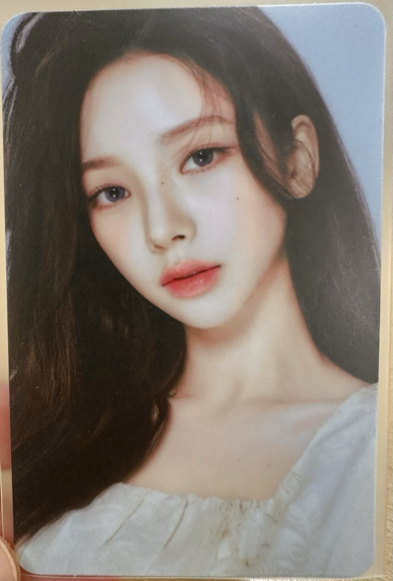 絕美明信片書柚（青梅柚）