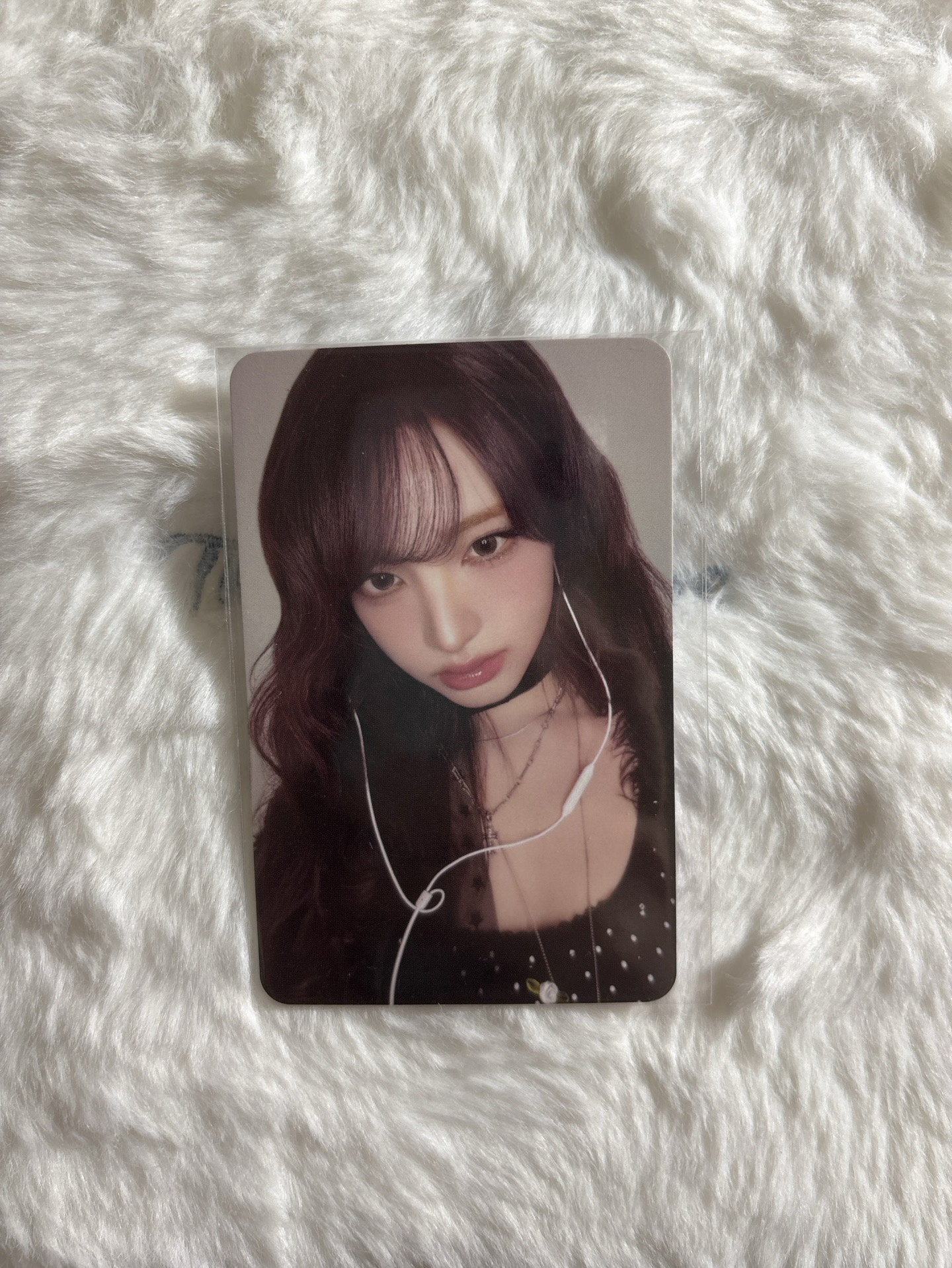 LIZ REVIVE+ 星船 特別版 特典卡 