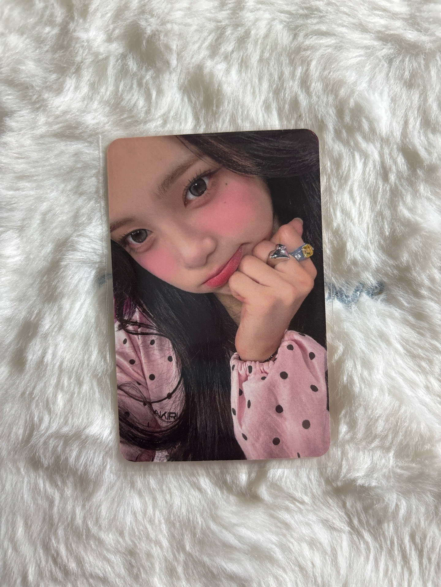 IAN 需多帶 Focus MINIRECORD 1.0 幸運卡 