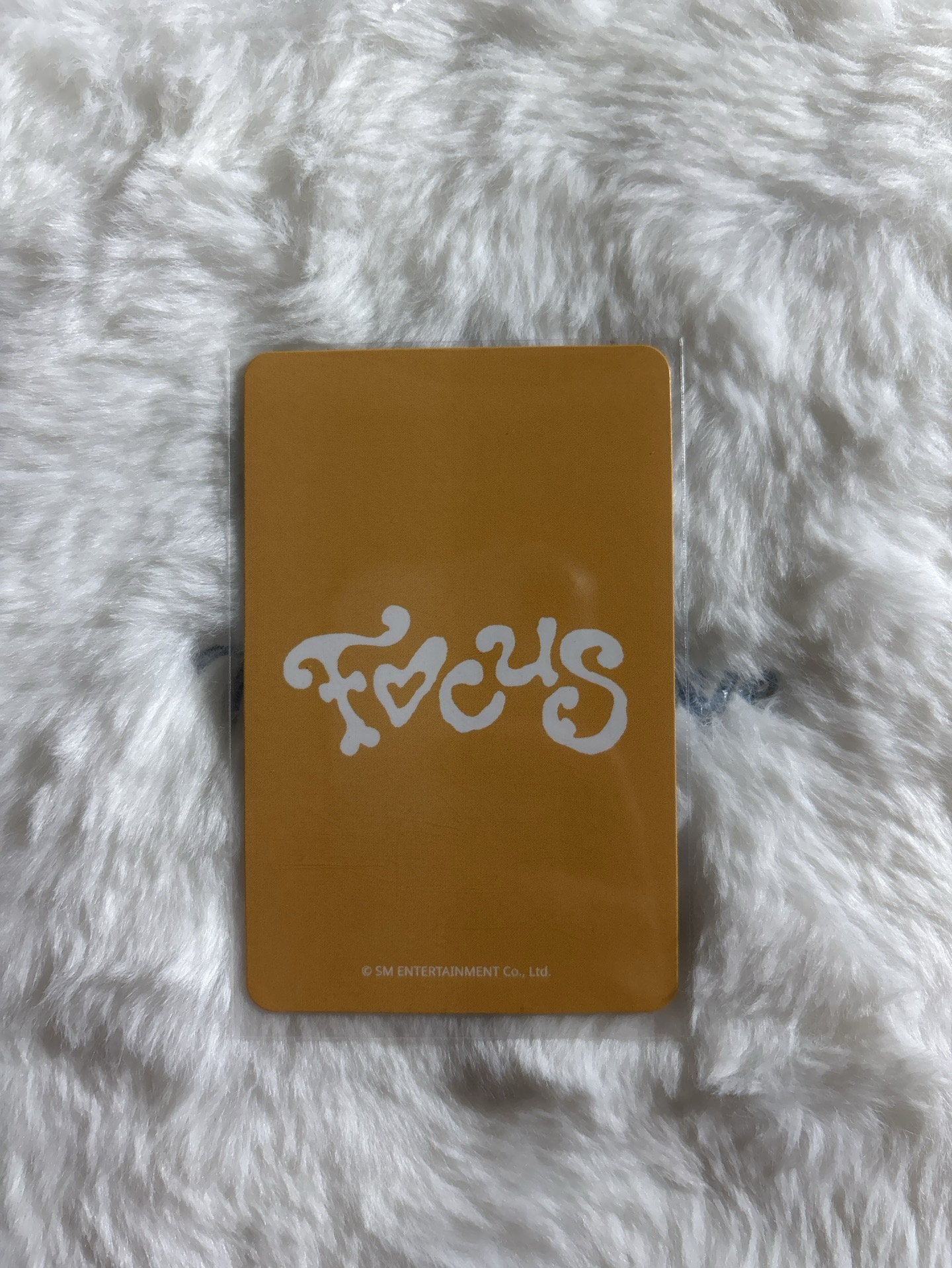 IAN 需多帶 Focus MINIRECORD 1.0 幸運卡 