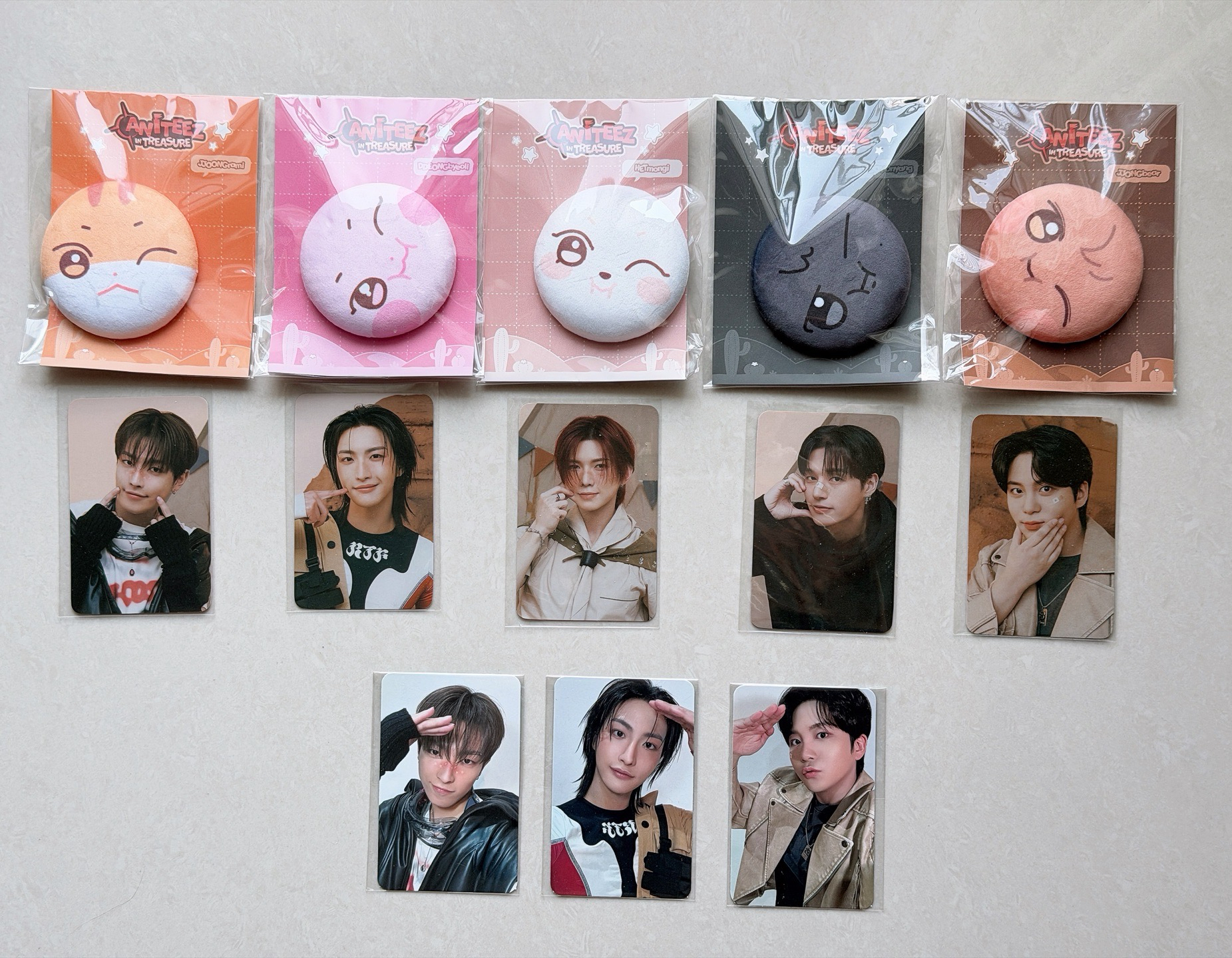 ANITEEZ IN TREASURE 日本 絨毛徽章 滿額卡