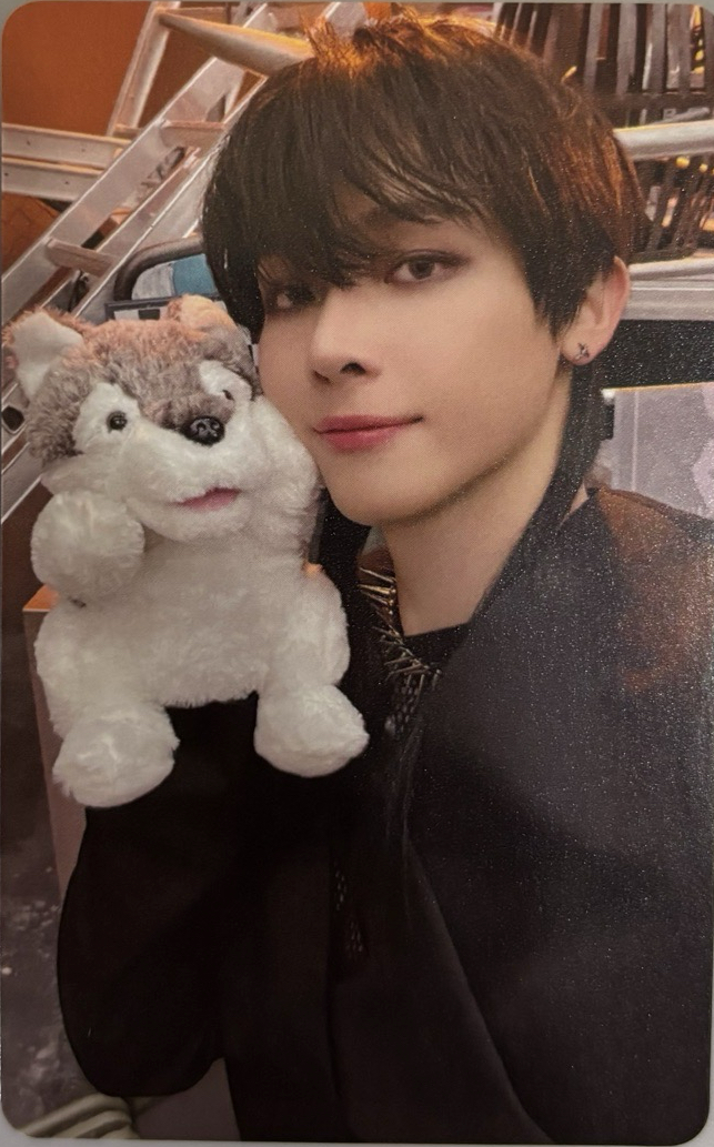 奶牛貓與哈士奇