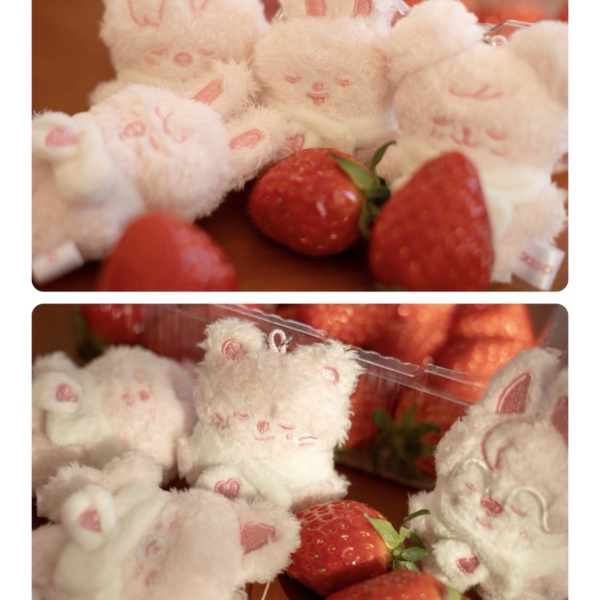 6th FM 潦草🍓娃