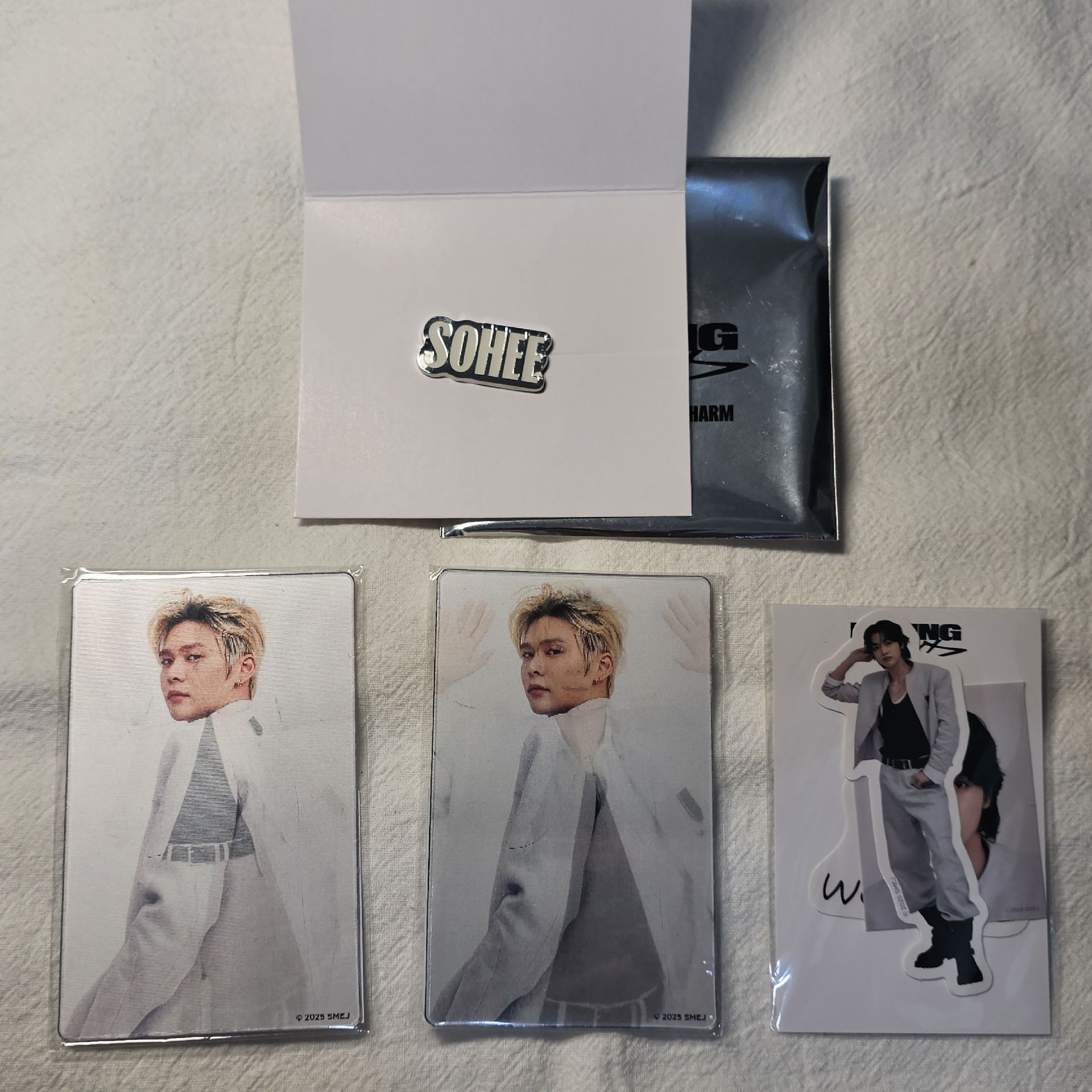 RIIZING LOUD 日巡 徽章 貼紙 閃卡