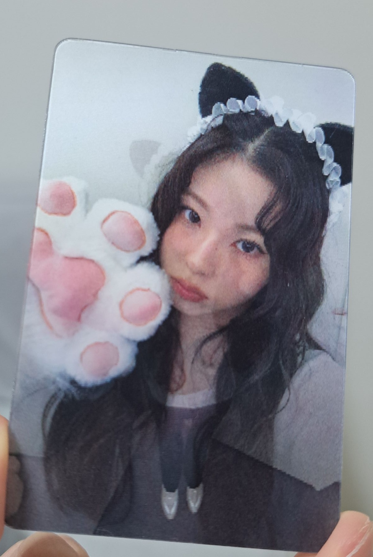 數星星 喵喵拳圭 變化卡