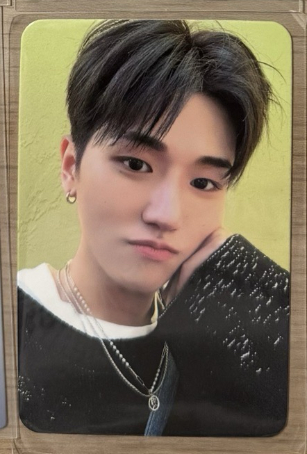 WHO 楠藝
