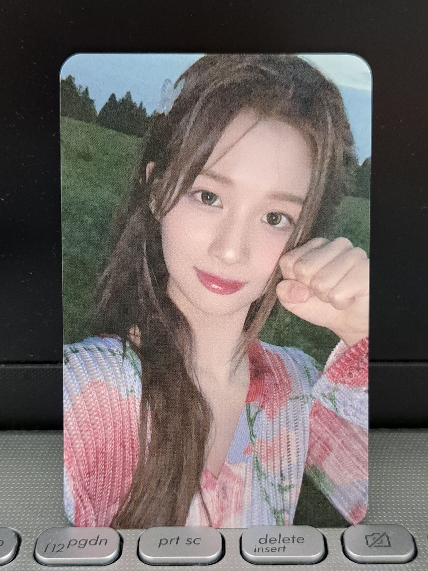 仲夏夜 el 預售薛