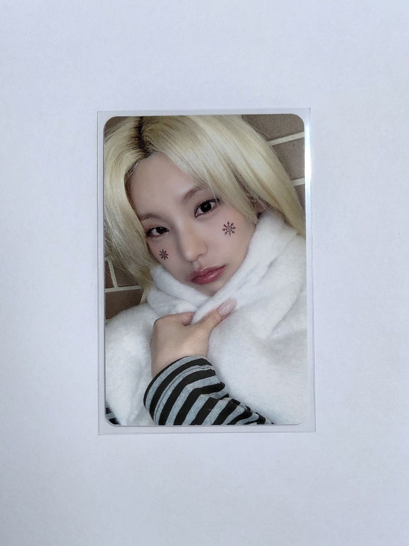 tnvs sr上海 冬日志