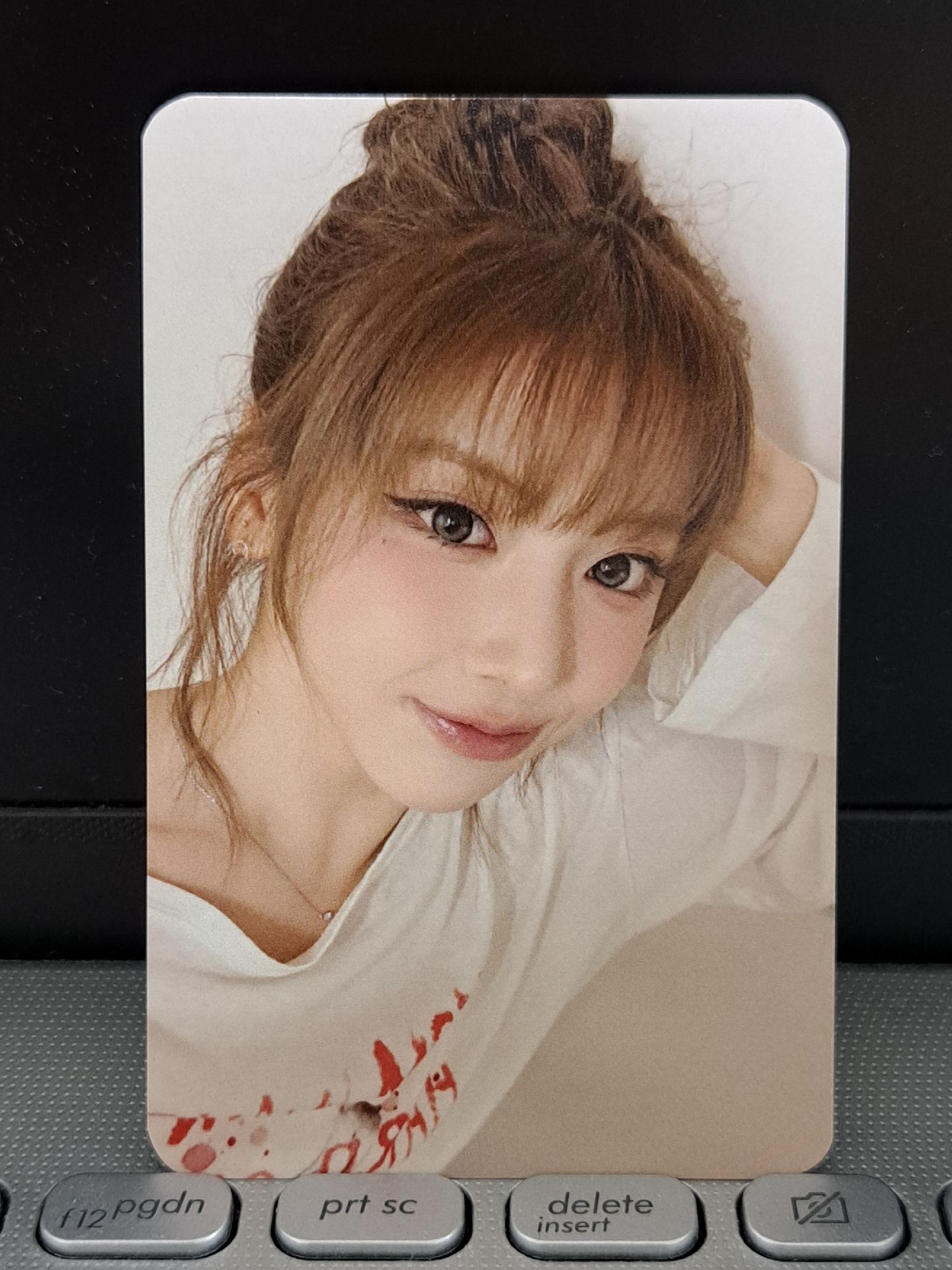 sw 日本合影會友