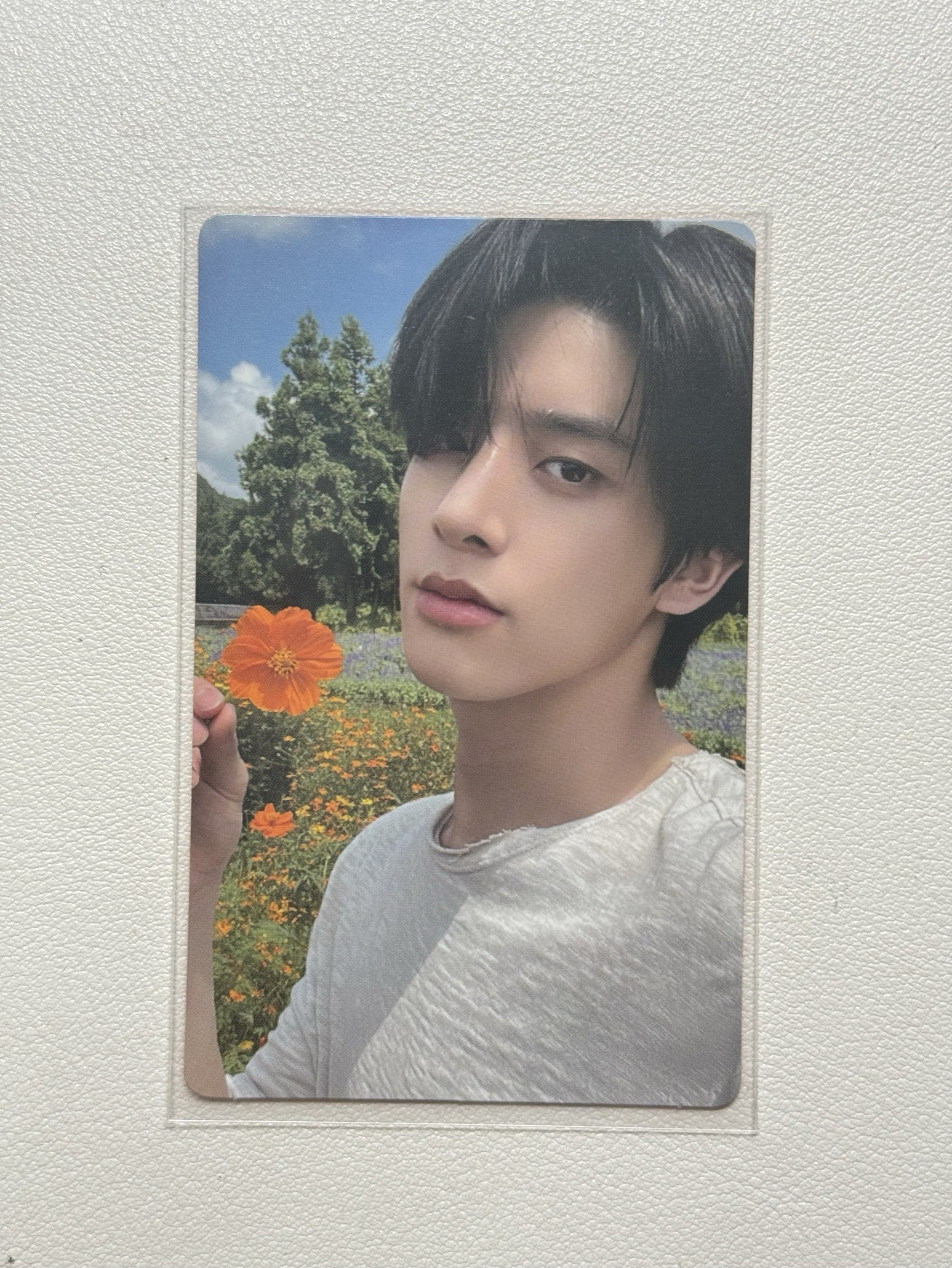 jake orange blood wvs 