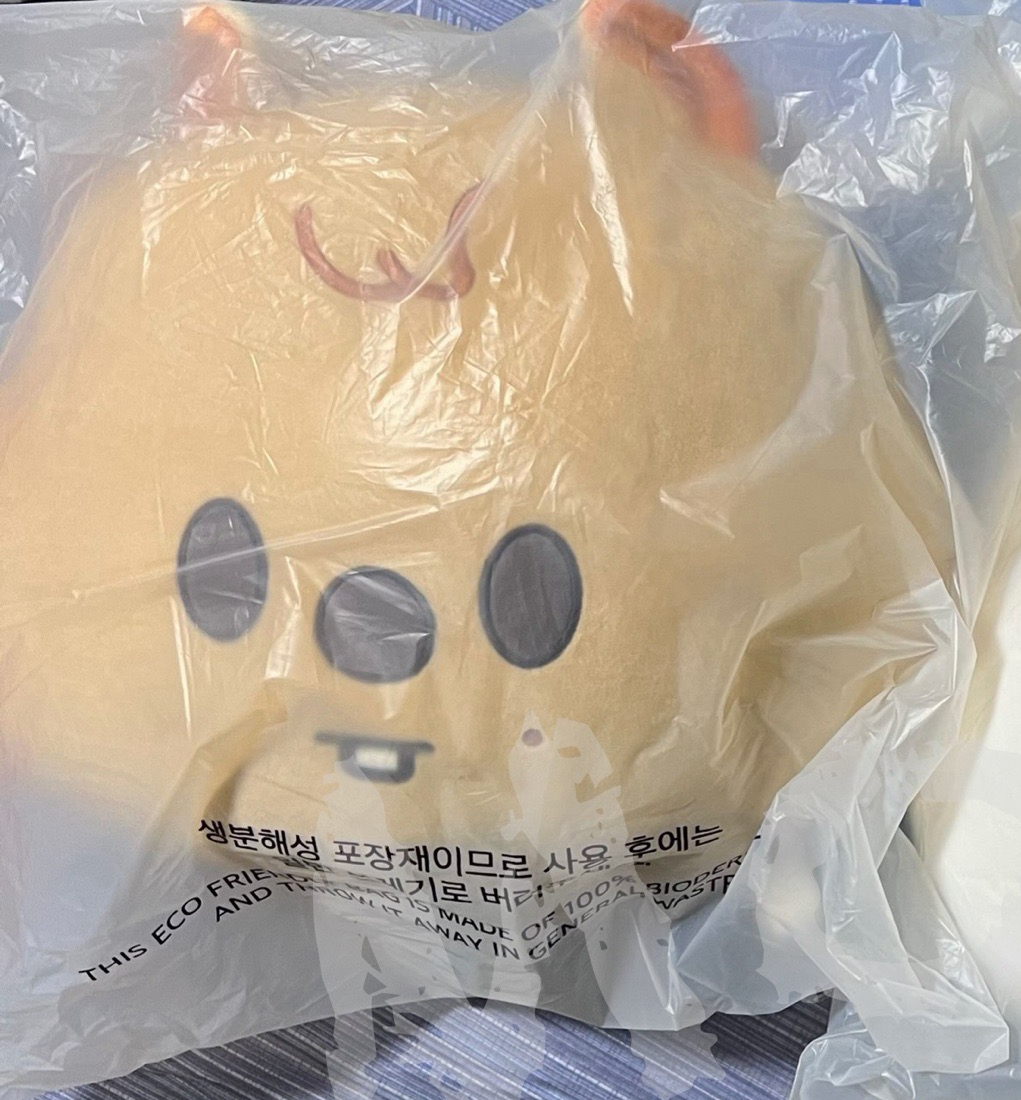 Stray kids 韓國 Dominate 周邊 豆豆眼 抱枕 城