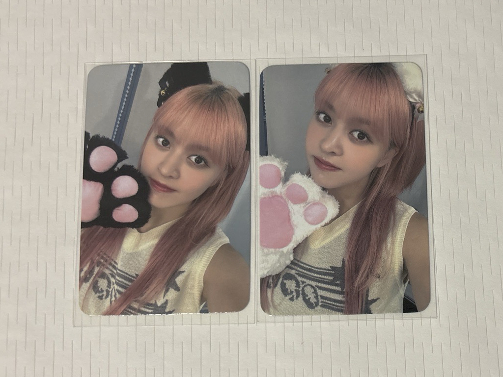 仲夏夜 SW3.0 LD 黑+白貓 LILY