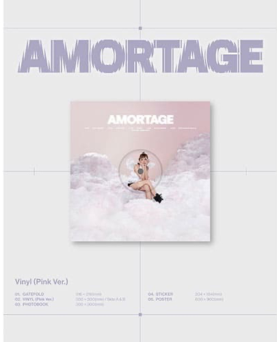 金智秀全新黑膠solo2