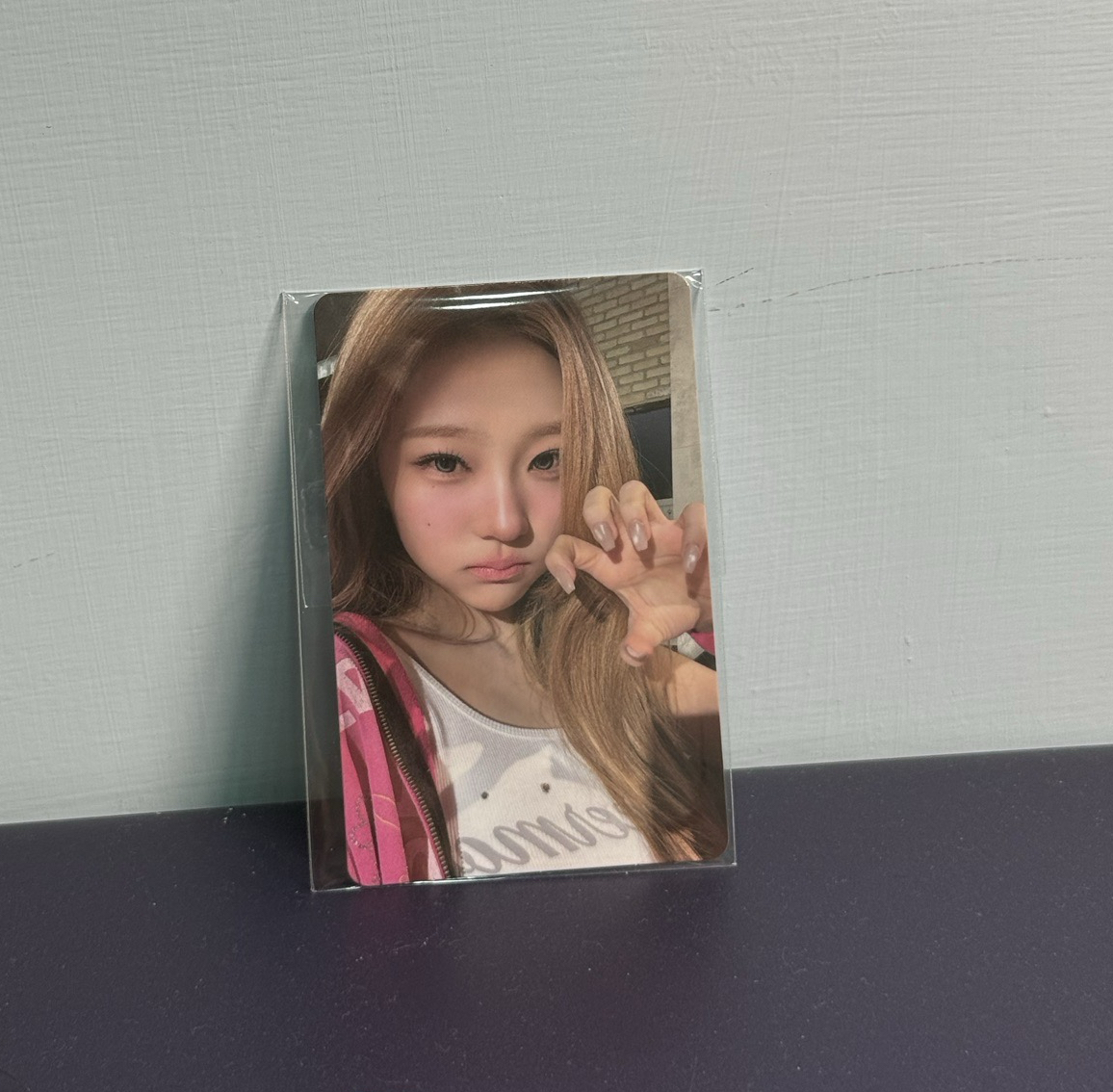 sm1.0 stella 貓爪拉拉