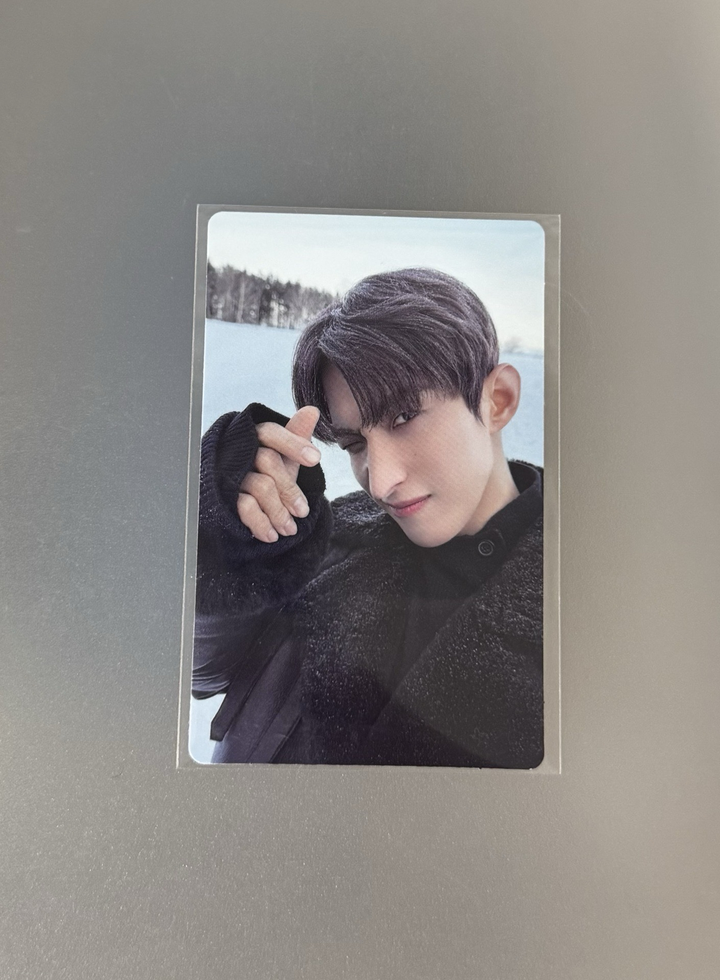 碩寛WVS LD碩（週日限定價格）