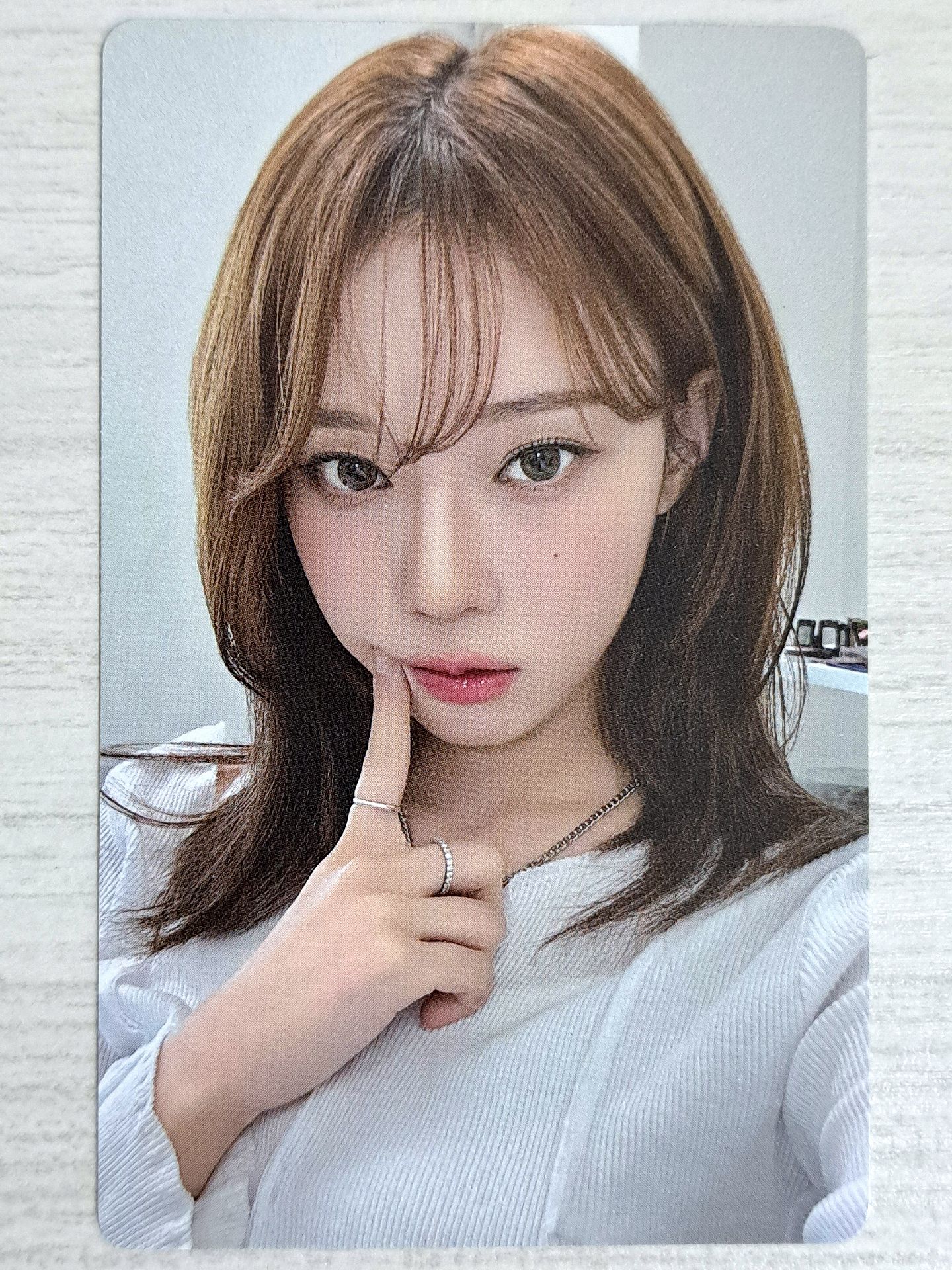 回憶錄 演唱會 DVD 卡 冬