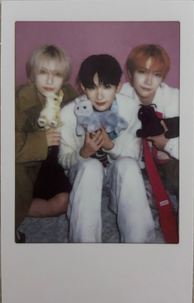 兩隻貓與一隻兔子