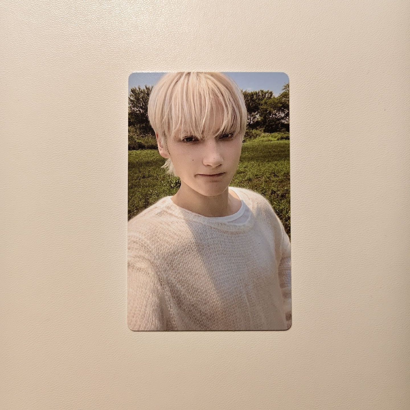 正規四 sc 特典寧