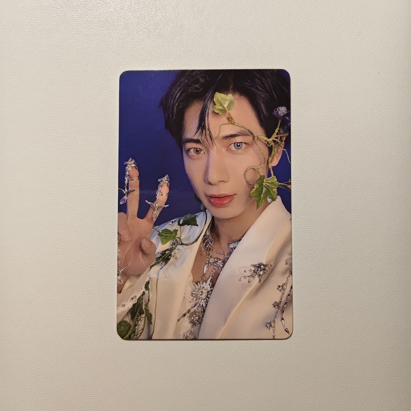 正規四 一直娛中背顯