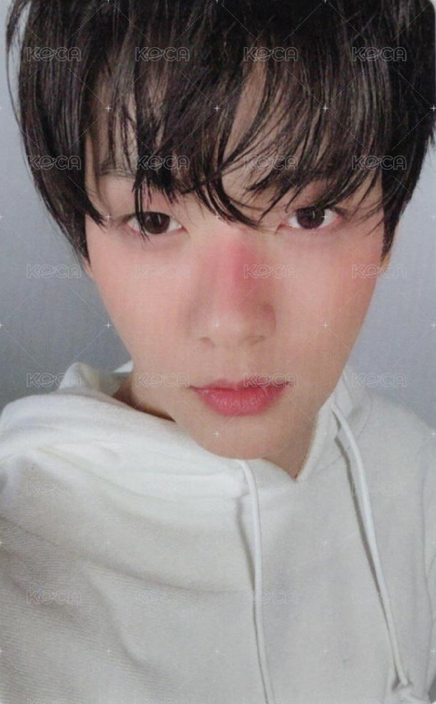 正四 wvs PB版 單封 特典卡 STUDIO CHOOM