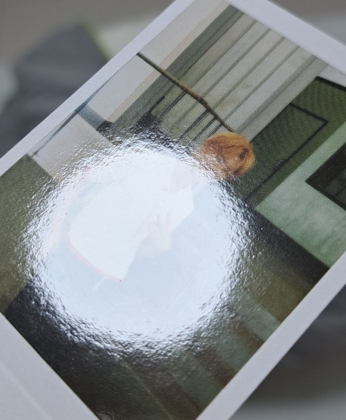 26年曆拍立得凡