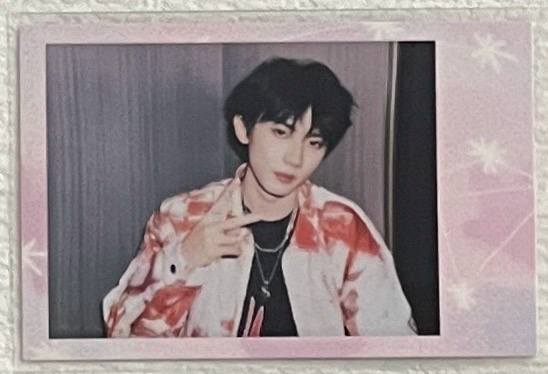 N 粉框拍立得｜馬