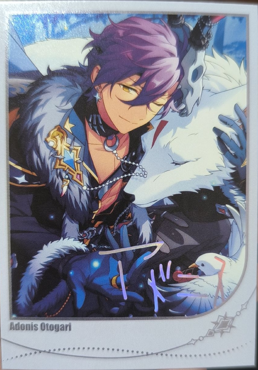 阿多尼斯 限定招募拍立得 第二彈