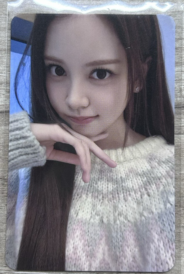 focus ms簽售卡 carmen