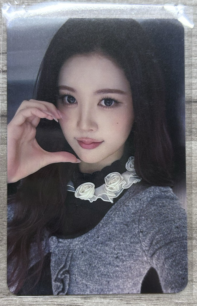 focus ms簽售卡 ana