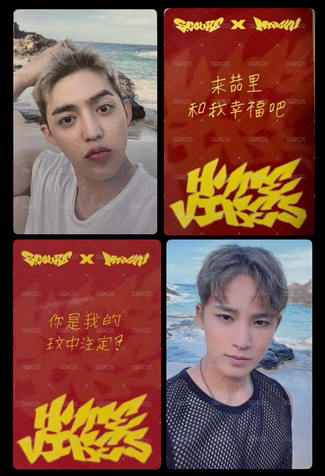 諧音血液蠢蠢欲動🩸CXM yzy wink ver.中背特典 