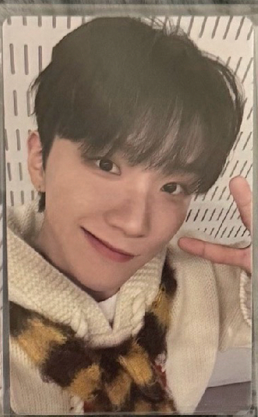 只今愛造型誰能不愛 𝘄𝘃𝘀單封𝟲 .₊⊹