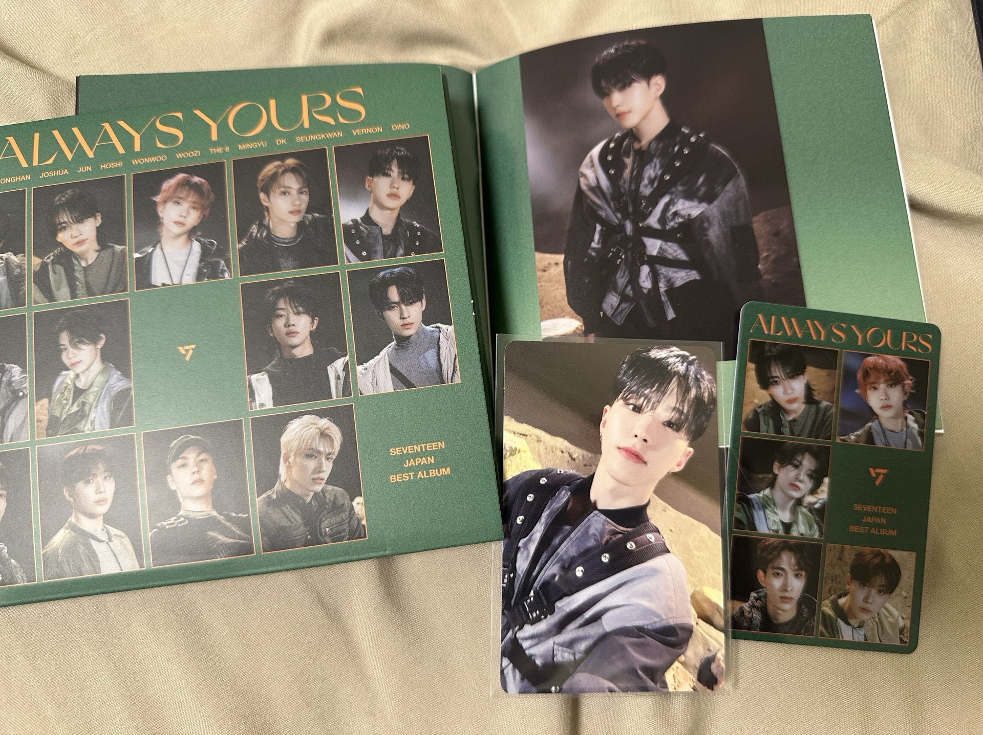 hoshi 專區ఇ ◝‿◜ ఇ