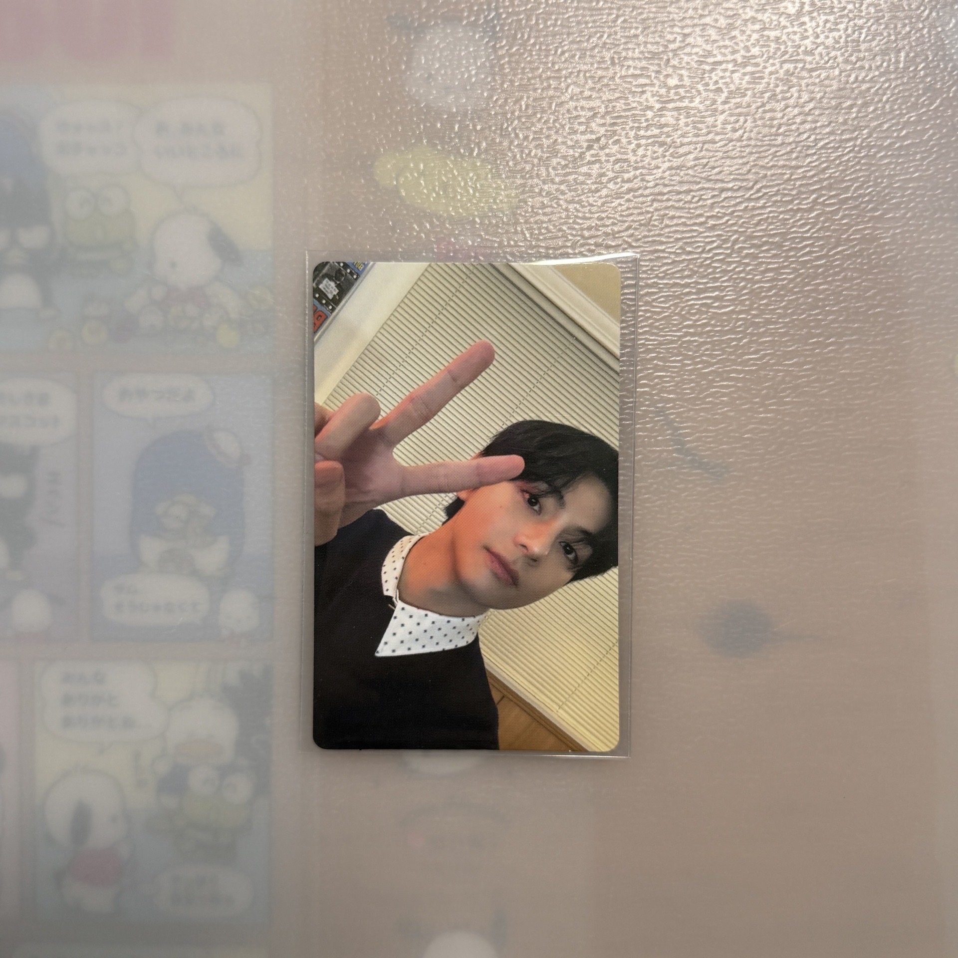 WVS 早鳥 B版特典 泰亨