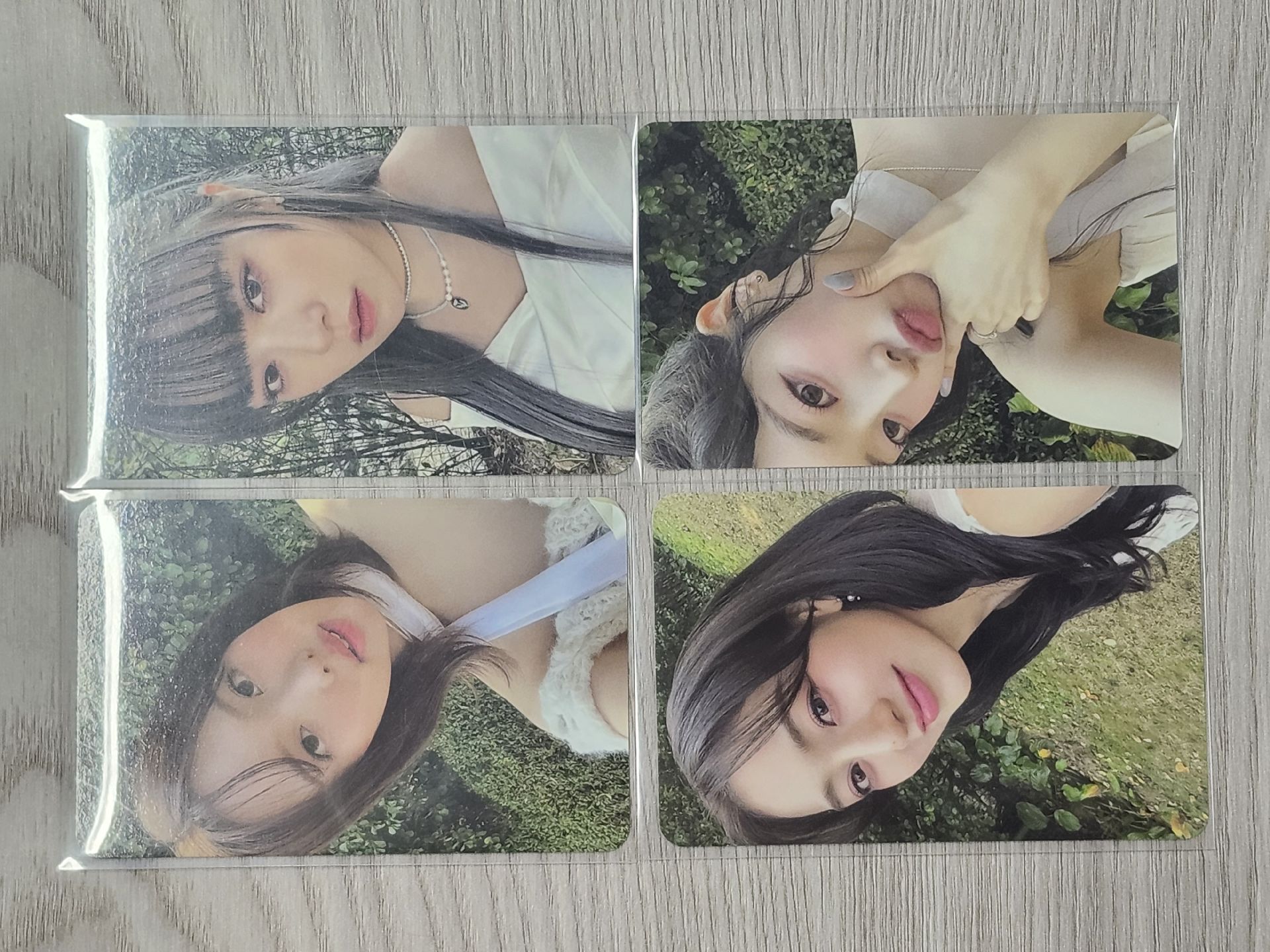 娜定效多🐰🐶🦄🦅