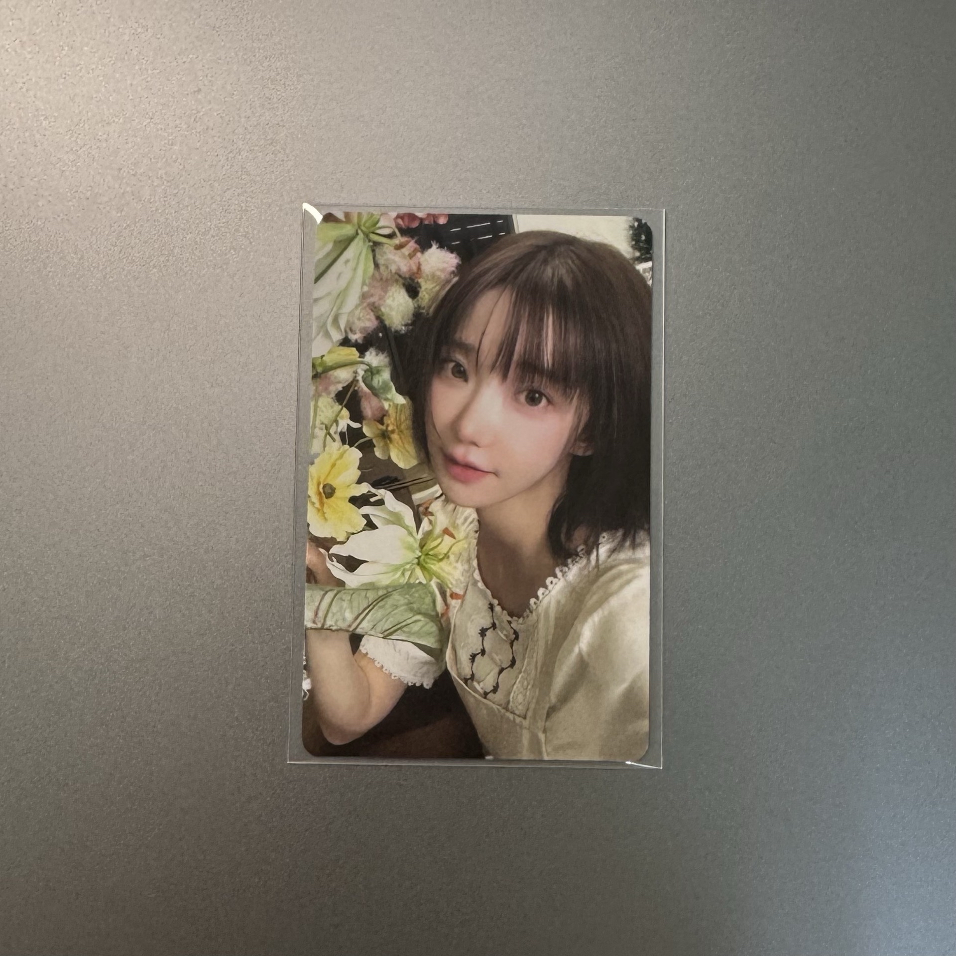 迷二 wvs 1.0 簽售卡