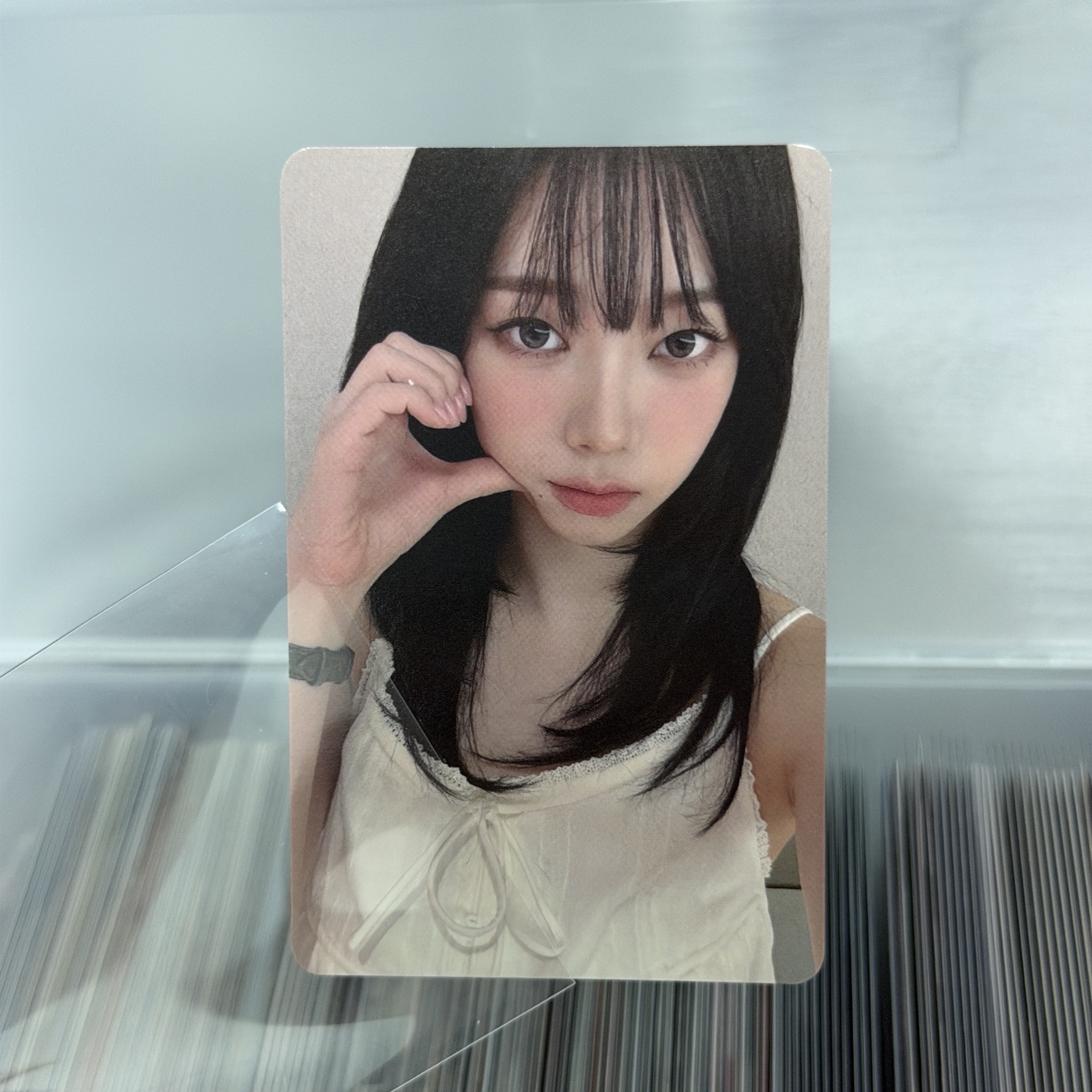 泡泡摩奇簽售柚