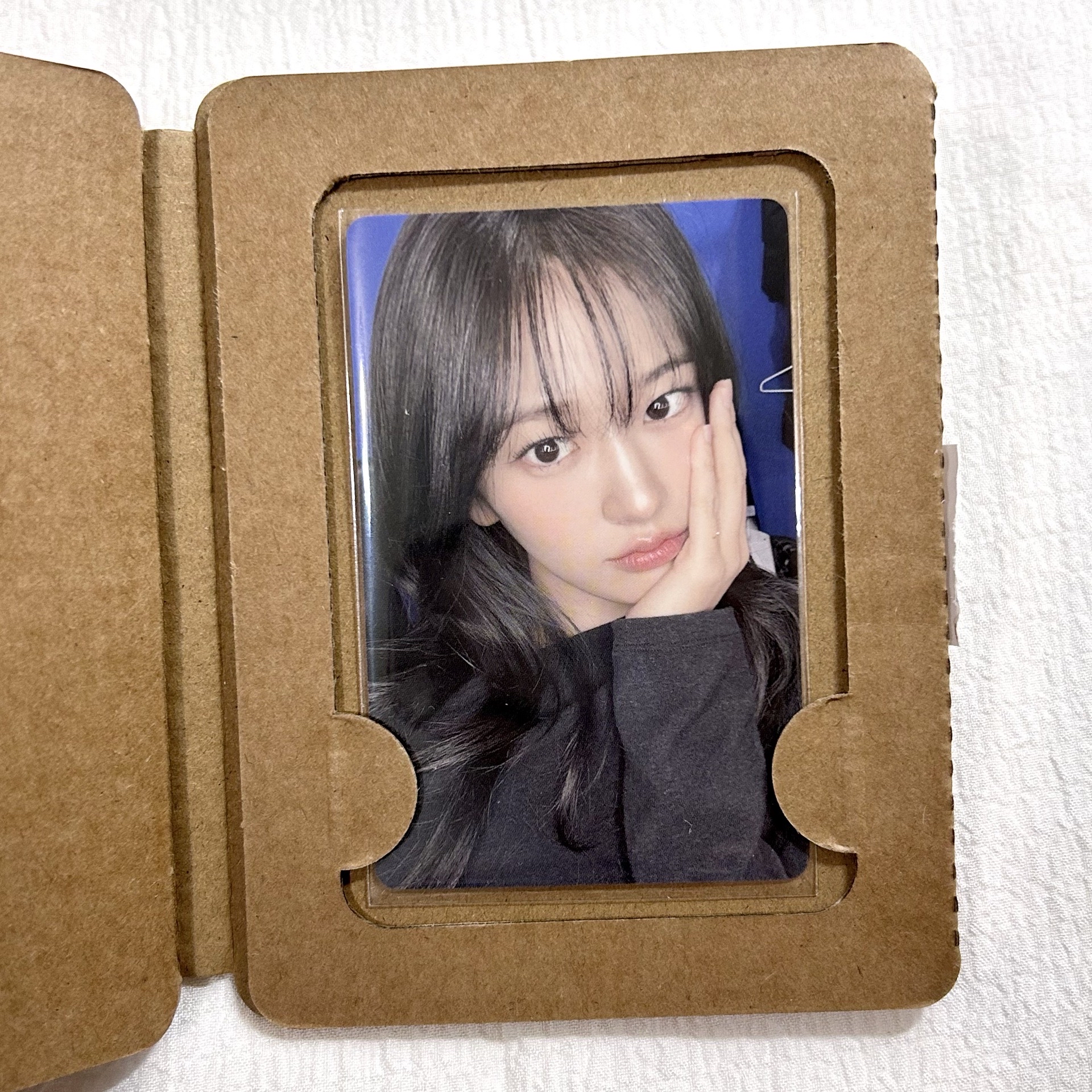 【快速競標】京東安 Dive的小狗 俞我一個就夠了