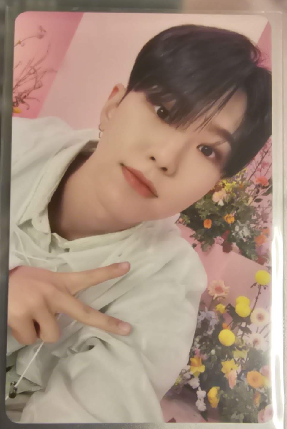 Seventeen HOSHI 日專 專輯卡