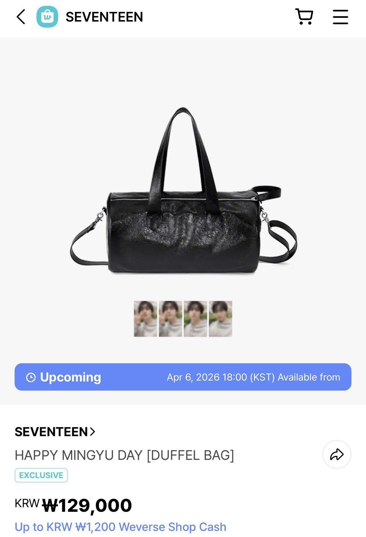 HAPPY MINGYU DAY [DUFFEL BAG]