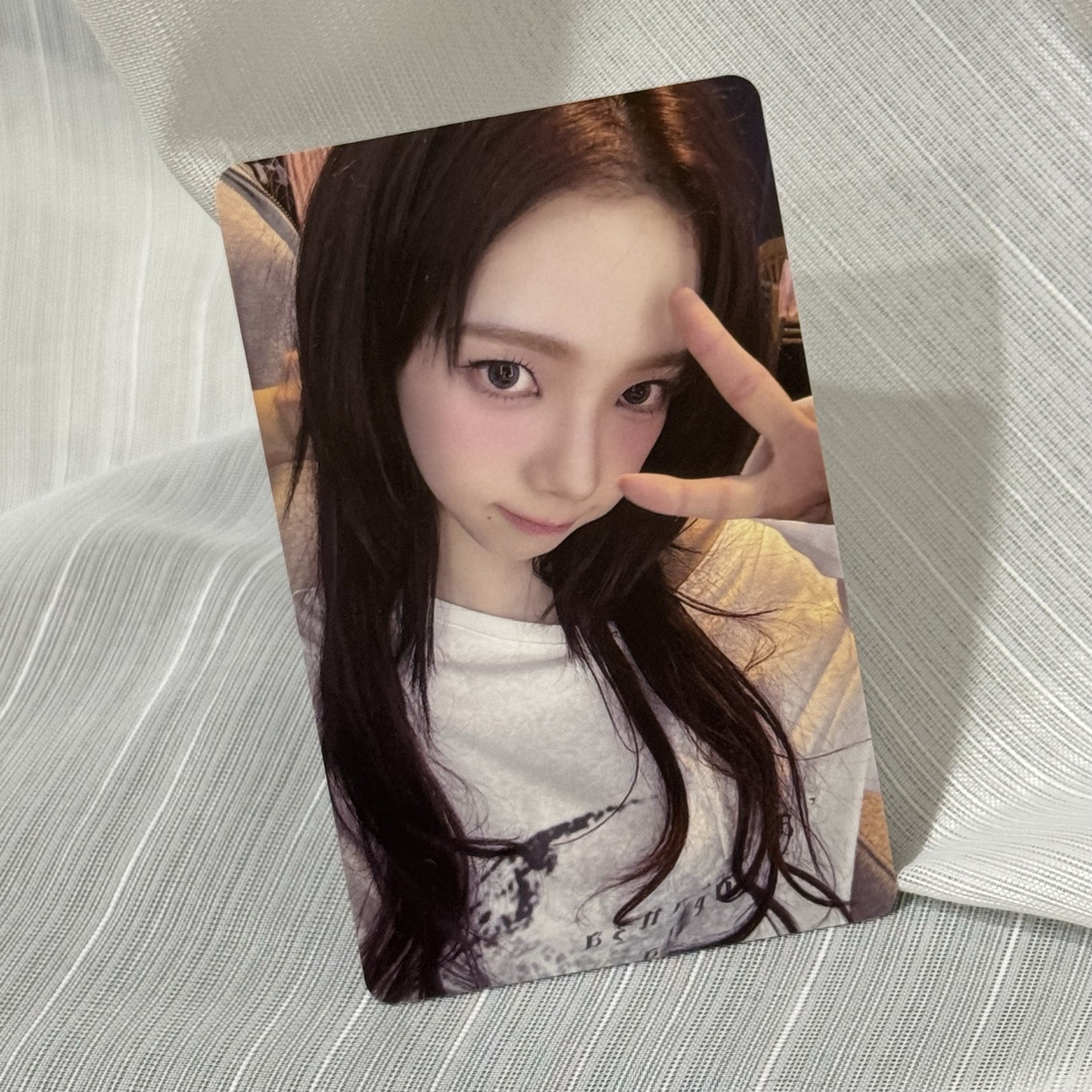 ☆現貨♪Whiplash kms特典_柚 中背