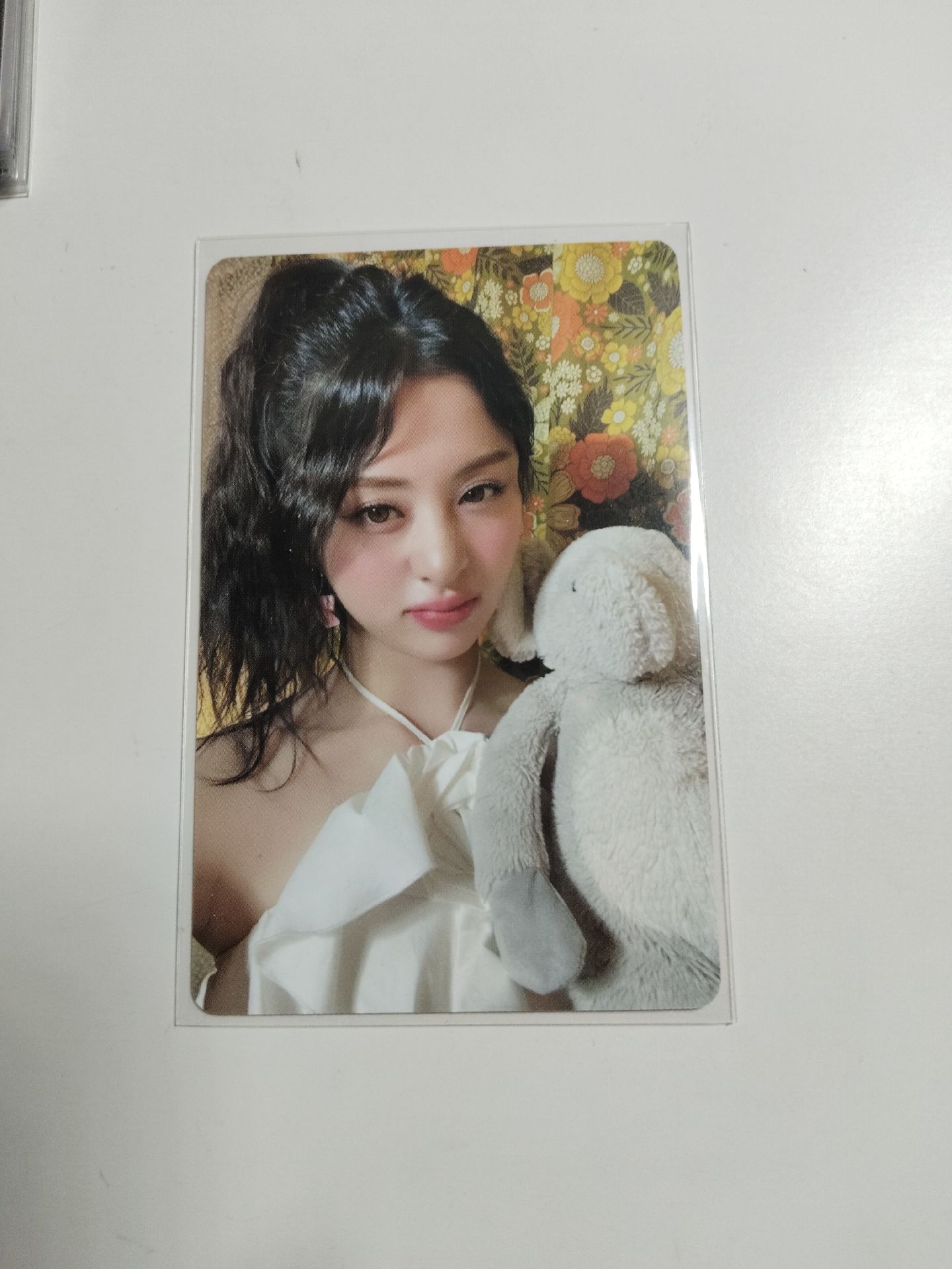 🔅DICON N°14 雜誌卡 B版