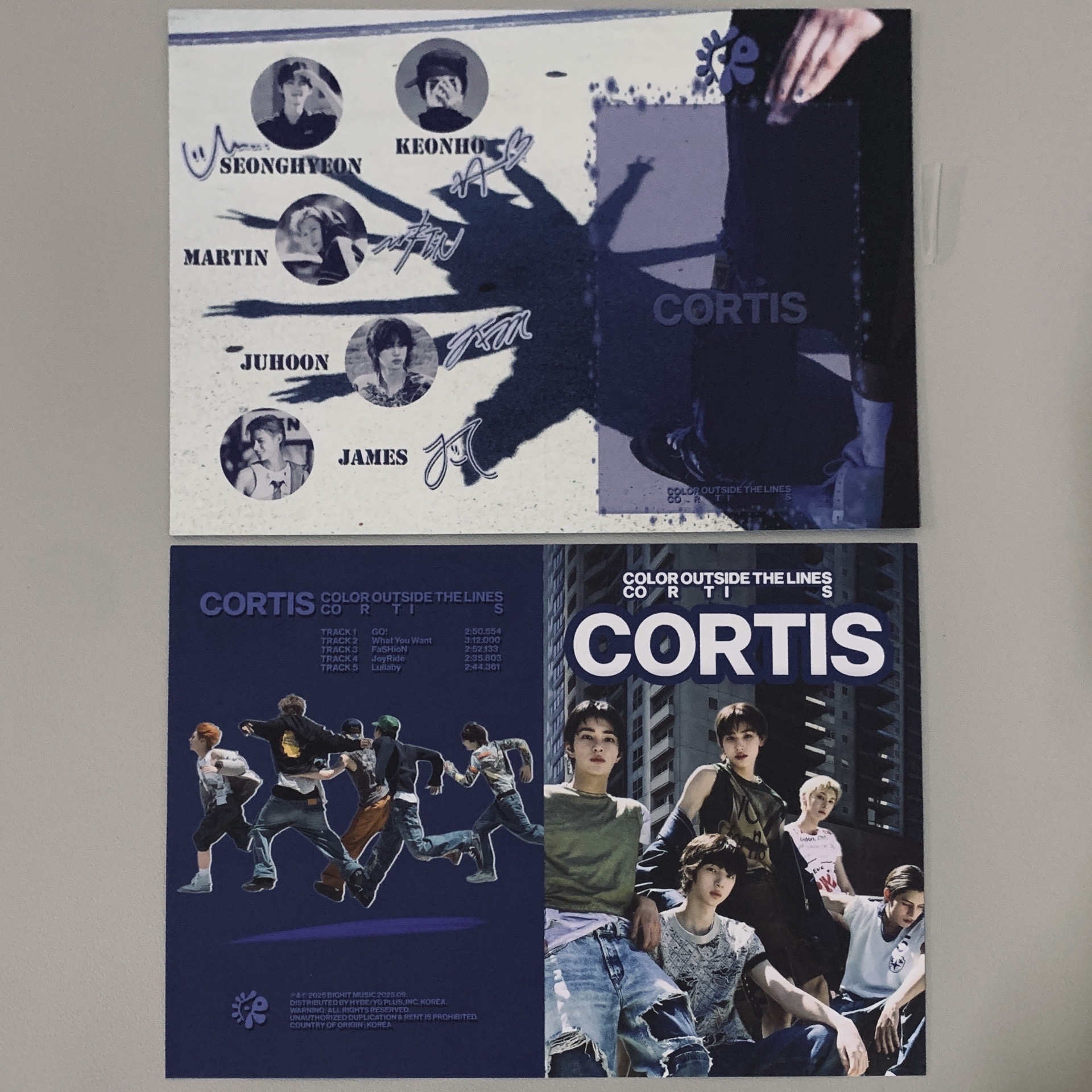 Cortis 藍
