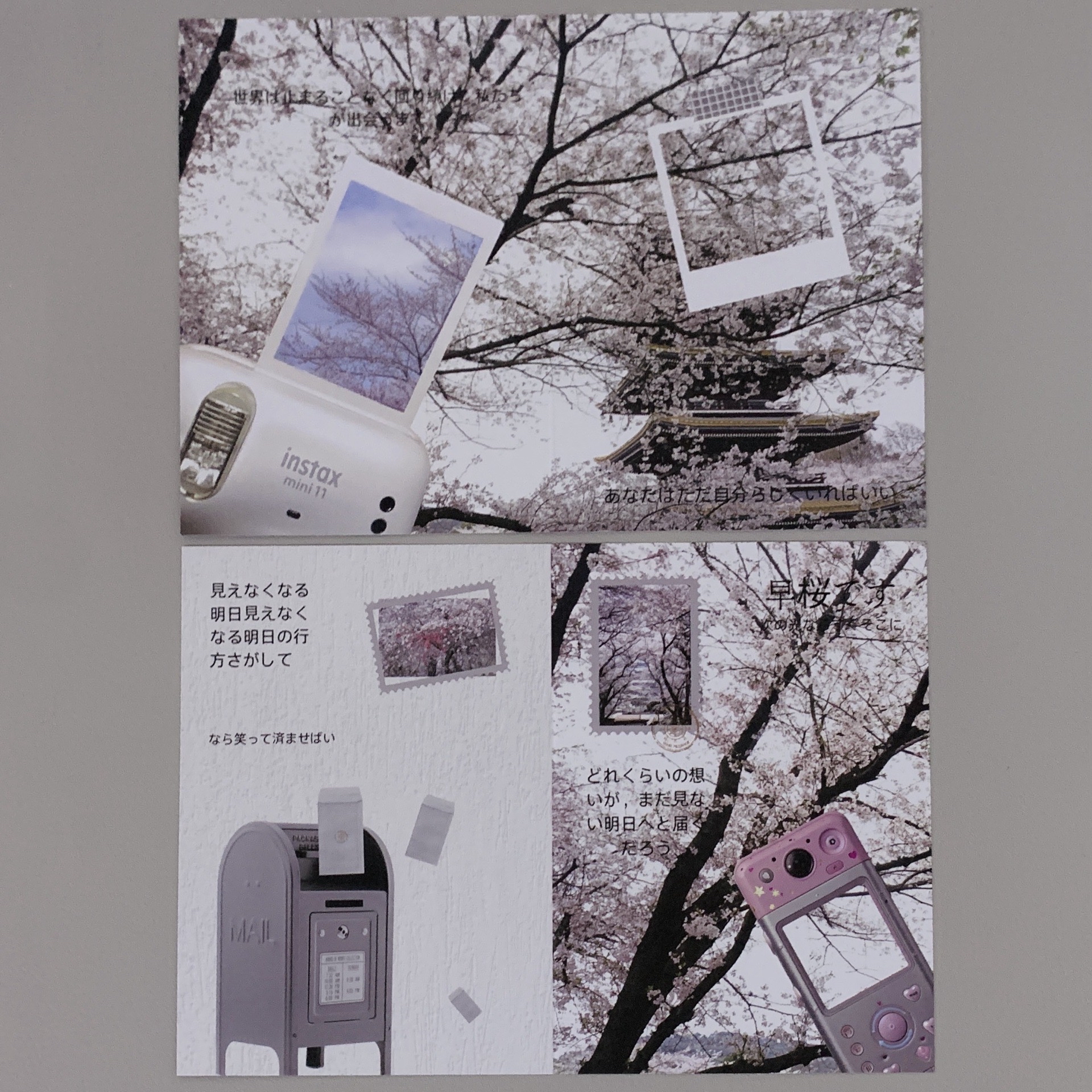 櫻花信箱