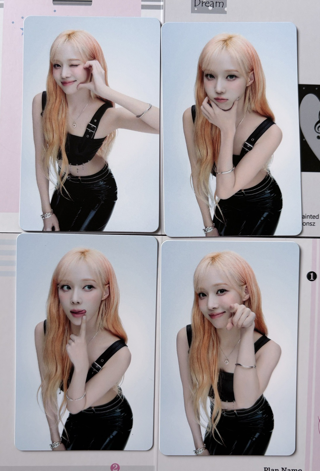 東蛋隨機卡冬❄️