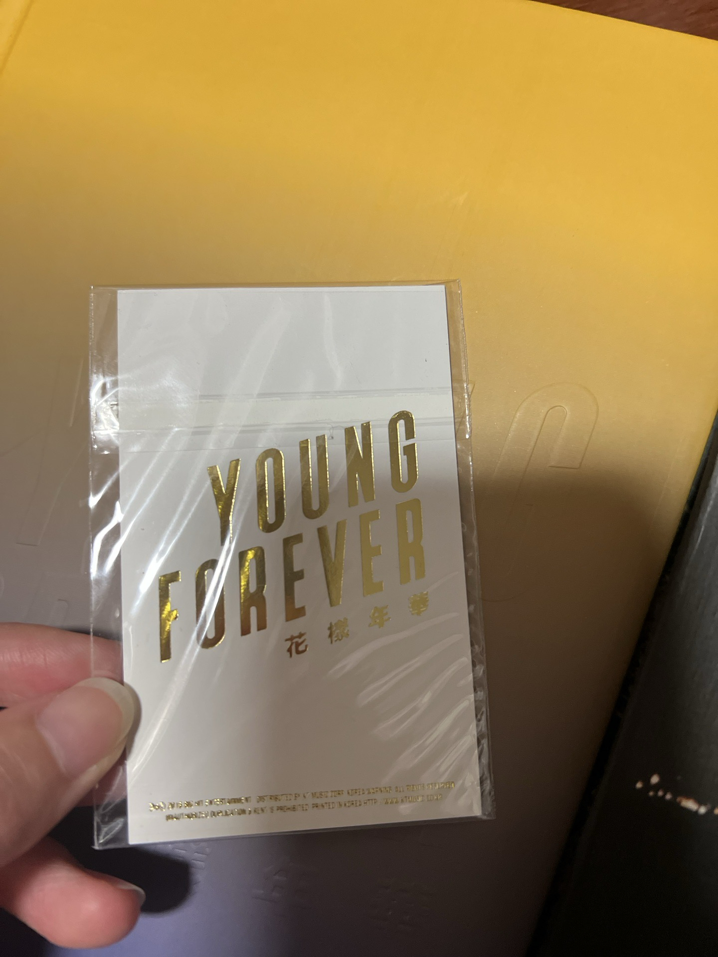 Young Forever 團體卡