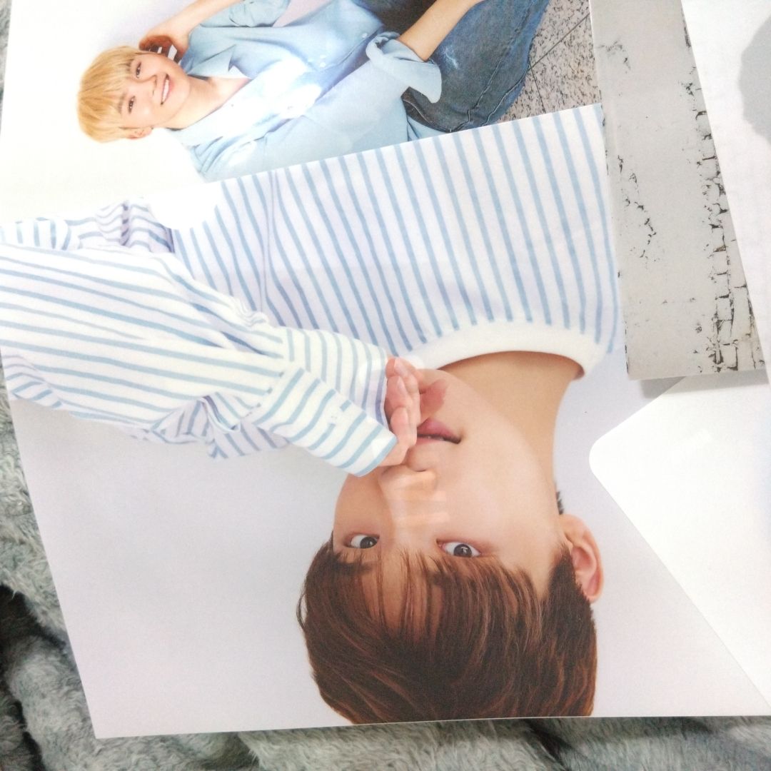 SVT |  二期會員 A4資料夾六個合售