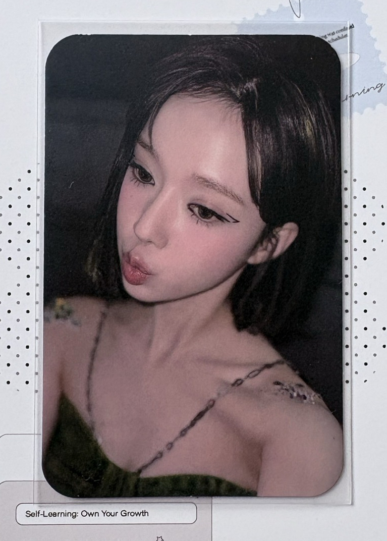 美網盒子冬❄️