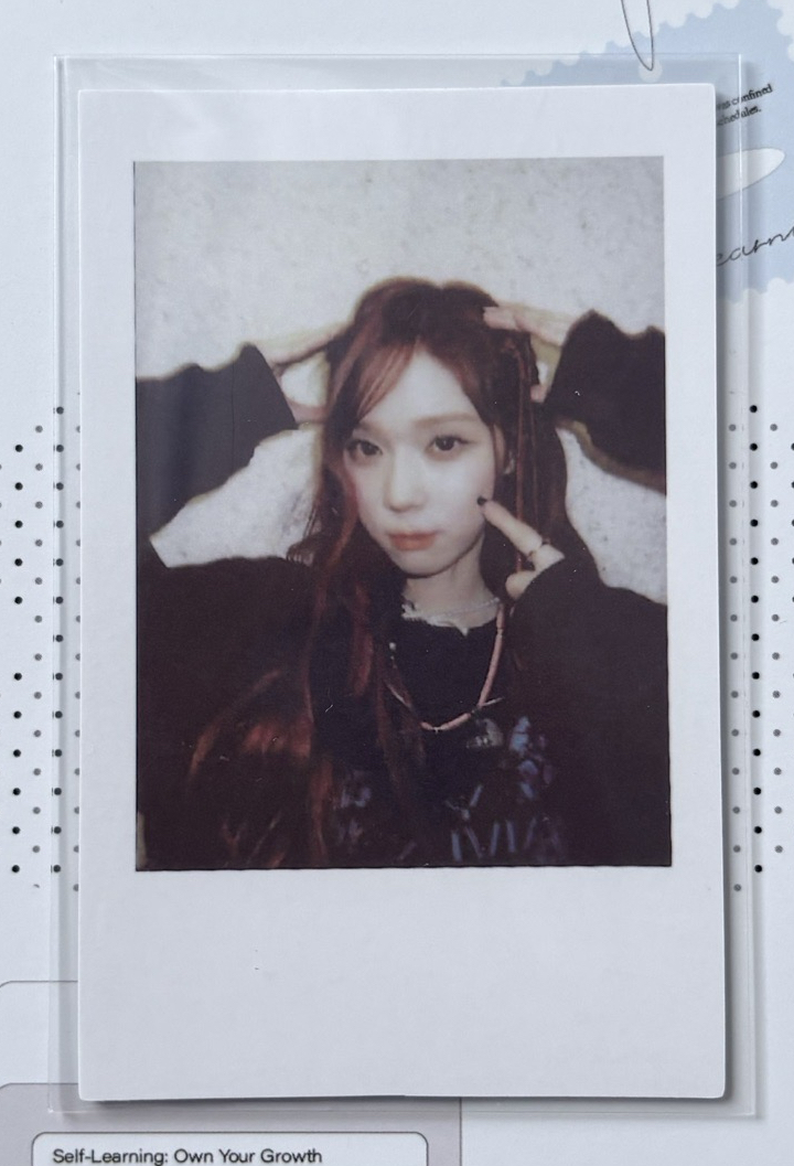 狗狗拍立得冬❄️