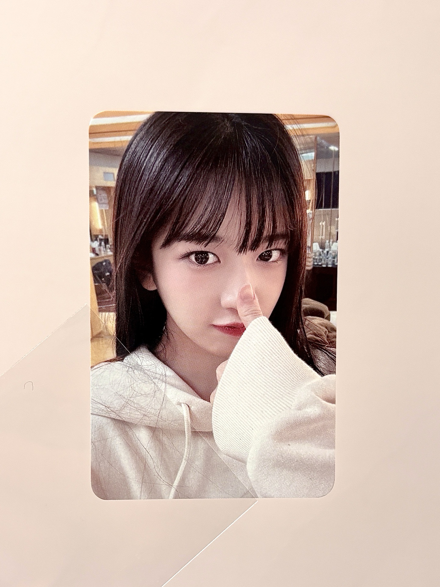 23’FC 演唱會五張