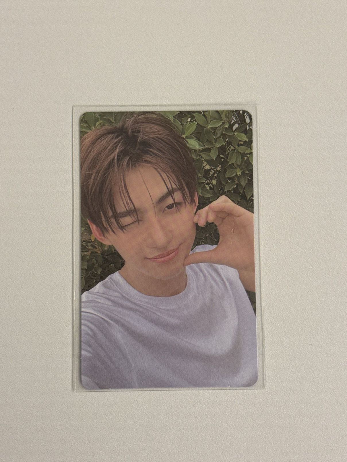 迷二wvs特典卡 韓志薫